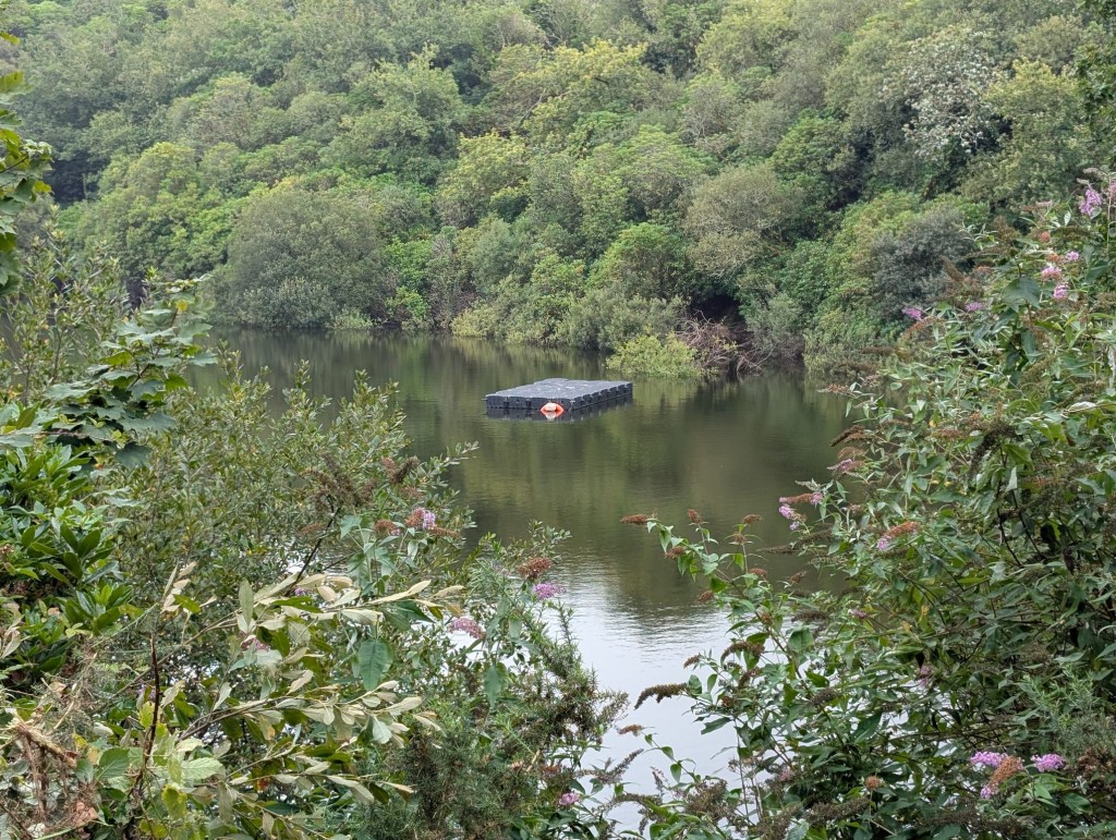 Lot: 106 - FREEHOLD LAND WITH LAKE AND DISUSED BUILDINGS - Access gate
